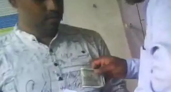 4966311-untitled-2-copy