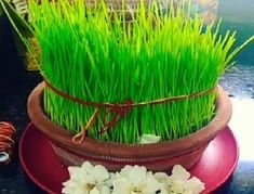 c2bc8e6dfe90cde1bafc81b086c14372