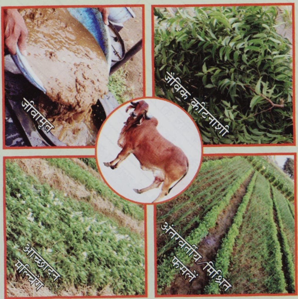 1762953468_ed415a7b973e19eaf949