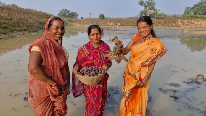 20251129134429_machli singhada