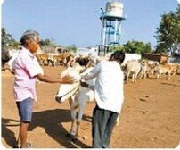 32891358_2625531_P_18_mr