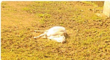 48e1b2de_2627272_P_26_mr