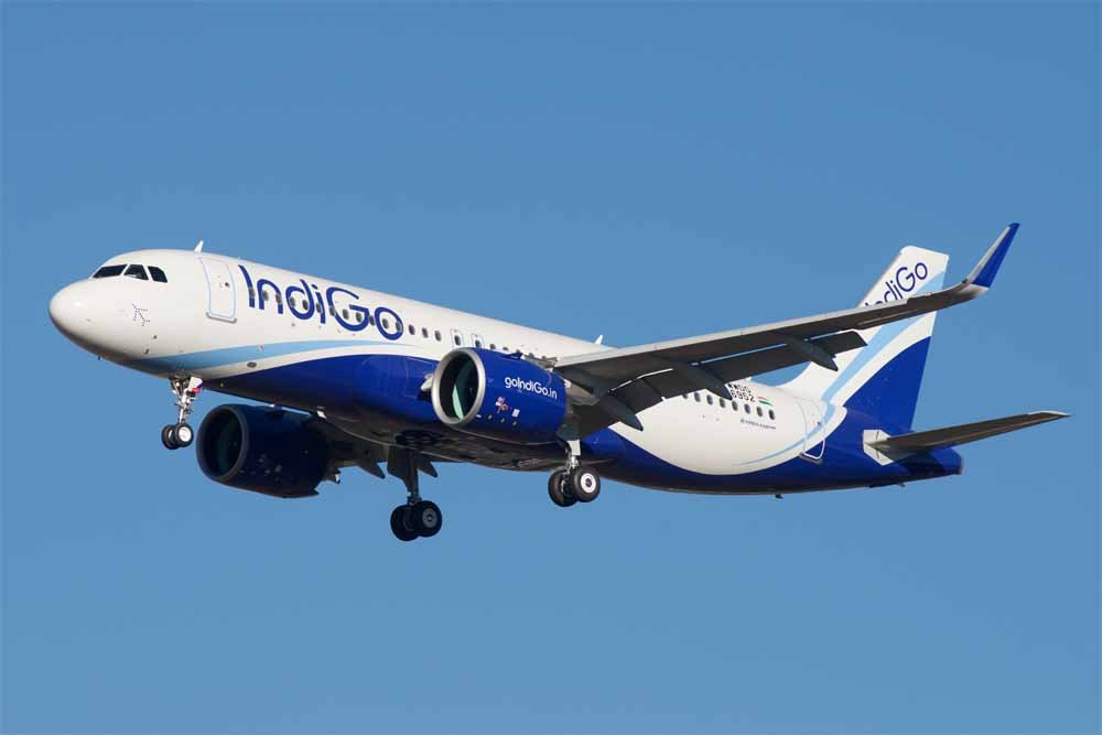 indigo1.jpg