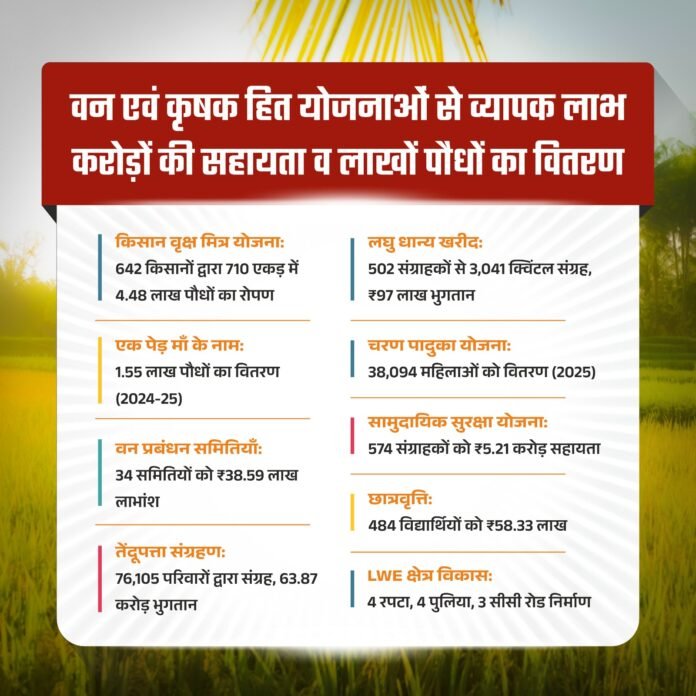 मोहला : हरियाली से खुशहाली, आर्थिक रूप से सशक्त हुए जिले के ग्रामीण