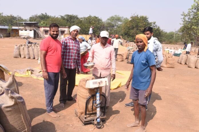 राजनांदगांव : जिले में धान की खरीदी उत्सव के लिए किसानों में उत्साह एवं खुशी राजनांदगांव : जिले में धान की खरीदी उत्सव के लिए किसानों में उत्साह एवं खुशी