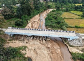 CG : विशेष लेख : दूरस्थ क्षेत्रों में पुल निर्माण से विकास की रफ्तार हुई दुगनी