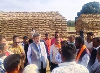 CG : विधायक किरण देव ने जामावाड़ा धान खरीदी केंद्र में व्यवस्था का किया निरीक्षण
