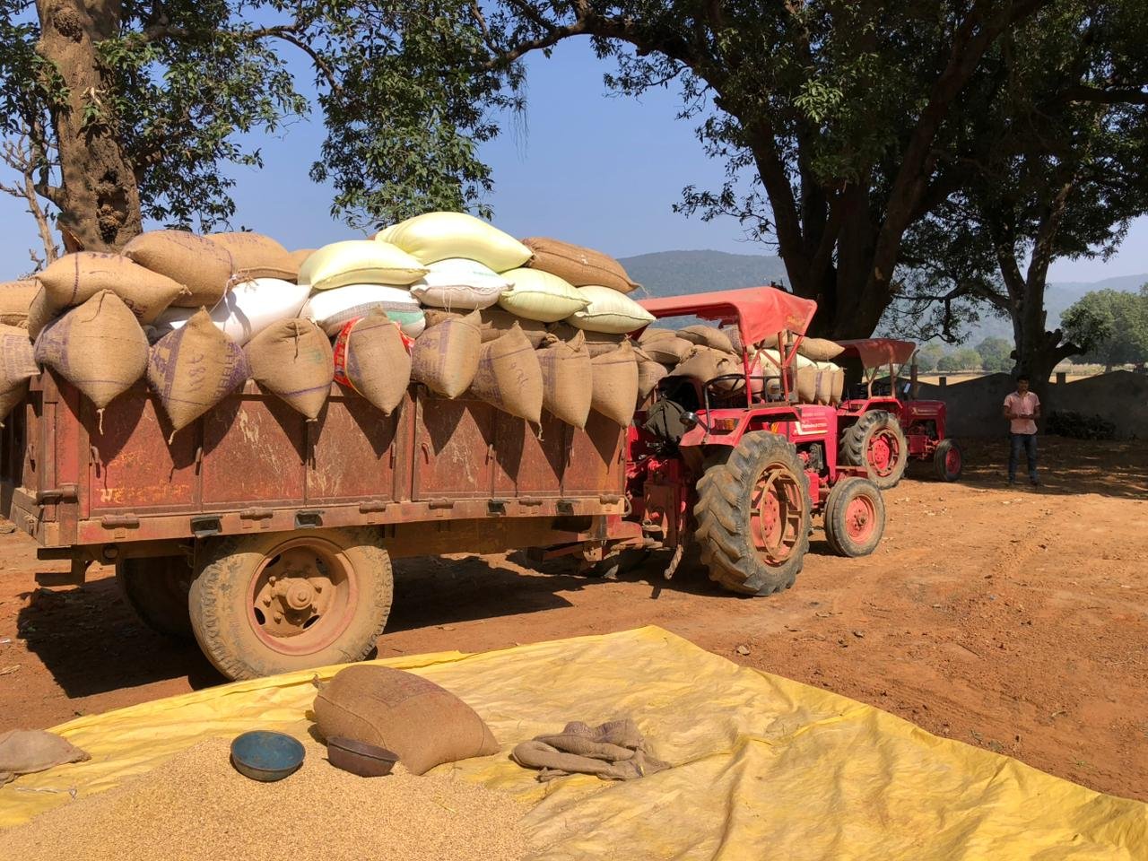 1765270417_46837dd0a1132edfd7de