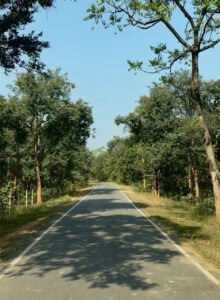 1766052622_891828636e45e1555385