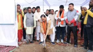 1766393553_57ace1765d3a35e56f6d