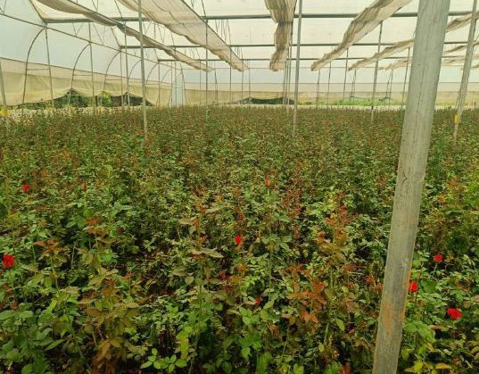 1766591838_b122d2281eaf0df70ab6