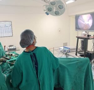 1766733392_031b86f911a137445fbc