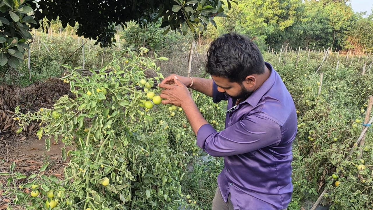 1766737792_da26e961e94e36145fb1