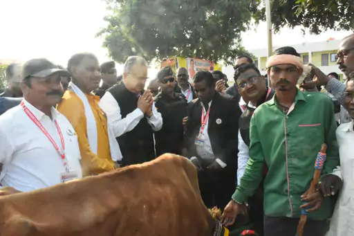 206_1764421491692aef73be08d_29005