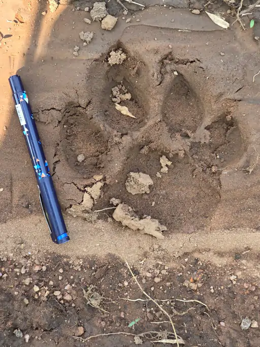 206_1764598084692da144d72a6_11