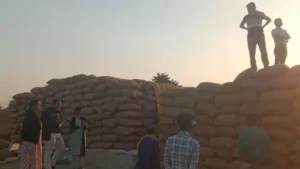 206_176615407869455f5ea7143_rjn12