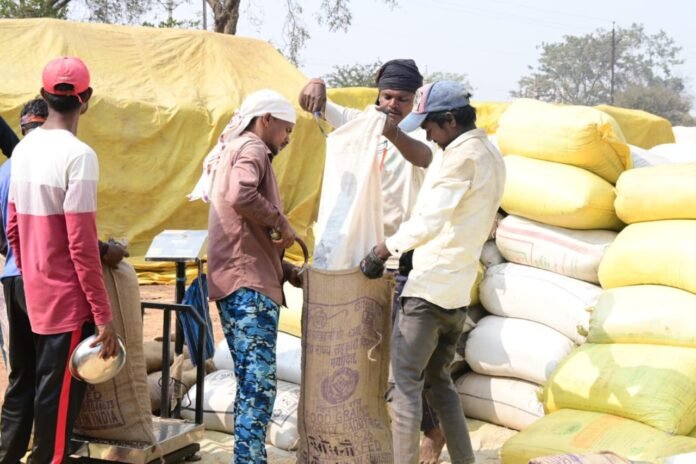  राजनांदगांव : जिले में धान की खरीदी महाभियान से किसानों में हर्ष व्याप्त