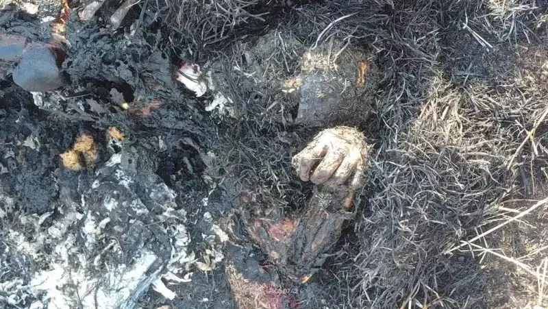 5067709-untitled-4-copy