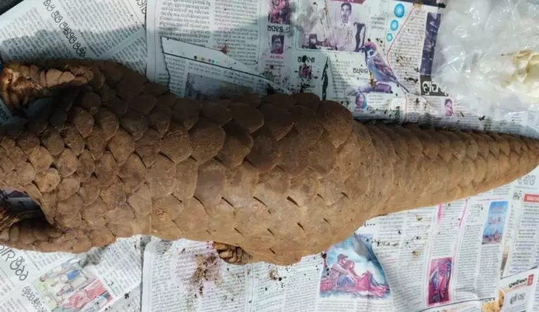 5070161-untitled-7-copy