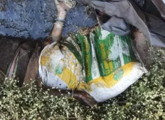 CG : ब्रिज के पास मिली महिला की लाश…