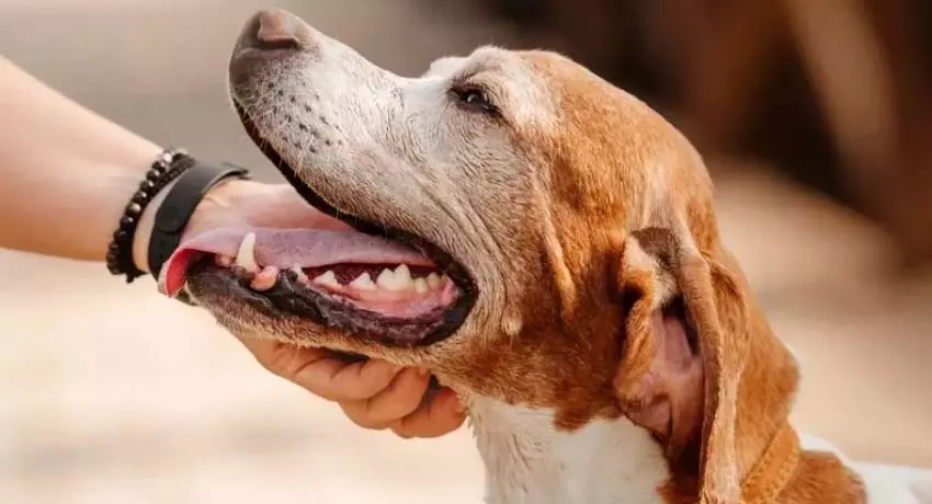 5085654-untitled-13-copy