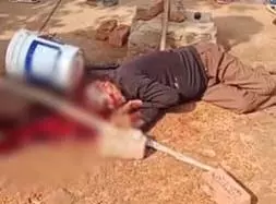 5086455-untitled-29-copy