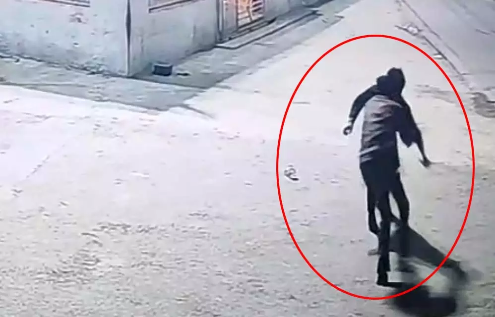 5102886-untitled-5-copy