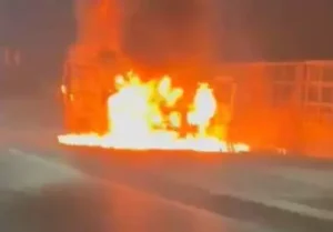 5104795-untitled-31-copy