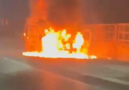 5104795-untitled-31-copy