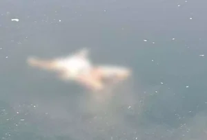 5104857-untitled-37-copy