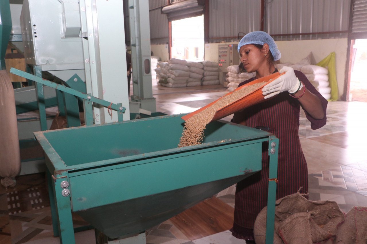 1767784244_d005cac8f8c69dd7d5a1