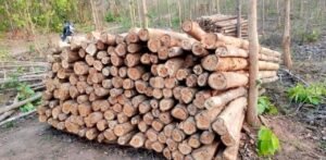 1767798730_590563942a57173a6824