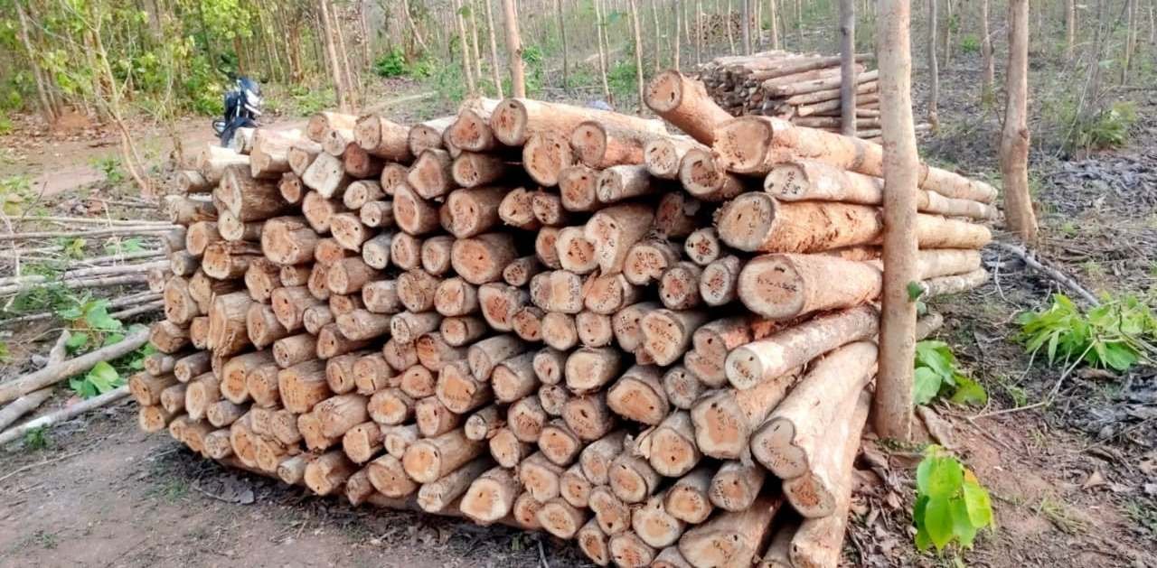 1767798730_590563942a57173a6824