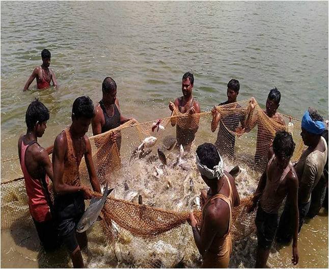 1767859719_618deaad63b636f5473f