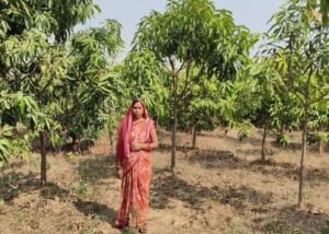 1767876491_de64f4853dbeb9e4741f