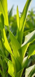 1767880737_4d02d481b8d6fb3710d6