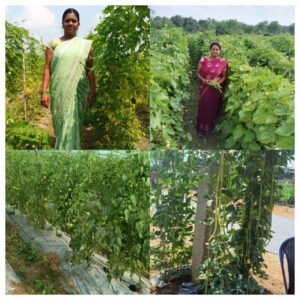 1767944850_71f073de59db92e01717