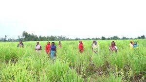 1767950881_20e6cb01fa4954a9fb28