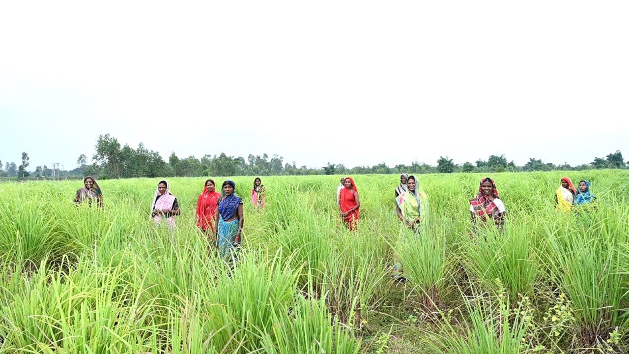 1767950881_20e6cb01fa4954a9fb28