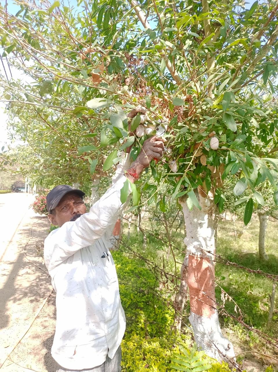 1768043856_1a420aafc418f8999ee8