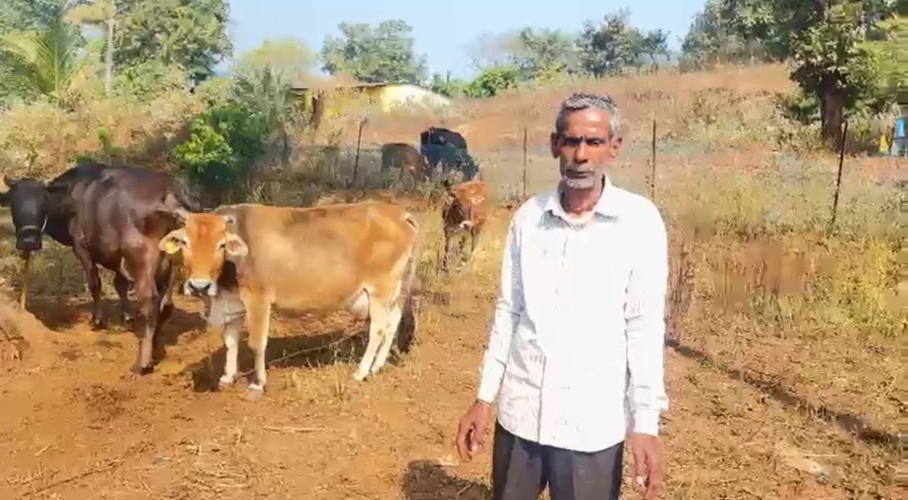 1768480297_2f5157741f7dd49f8fc6