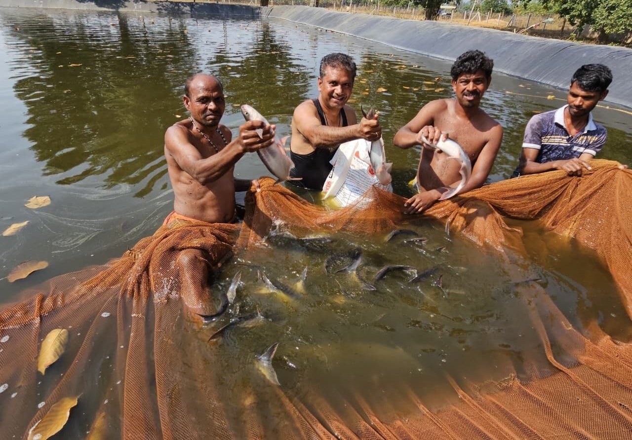 1768582722_38f5324a32ca73d8ff3c