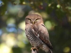 1768742280_b870f0c6e8e48270ad68