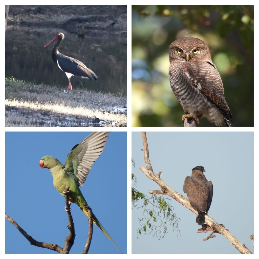 1768830181_198214884c85efd08e44