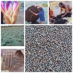 1769767748_210dfe809413ace310c5