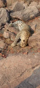 206_176744718469591a90d8a23_rjn9