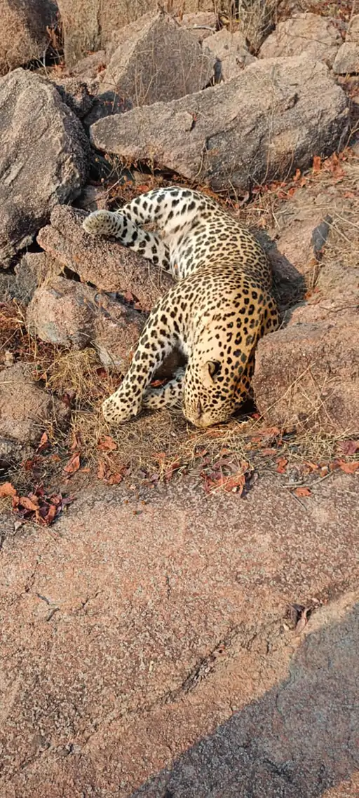 206_176744718469591a90d8a23_rjn9