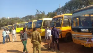 206_1768747352696cf158ac532_18008