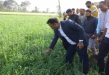 CM मोहन यादव का आदेश: किसानों को मिलेगा फसल का मुआवजा, अधिकारी कर रहे आकलन