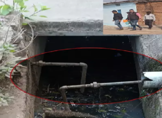 CG : नगर पंचायत में हड़कंप , पीलिया की चपेट में दो वार्ड …